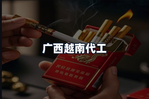 广西越南代工